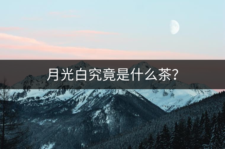 月光白究竟是什么茶？