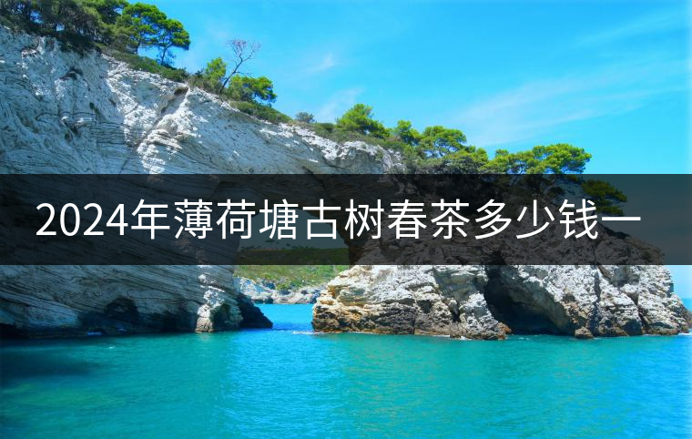 2024年薄荷塘古樹春茶多少錢一公斤？