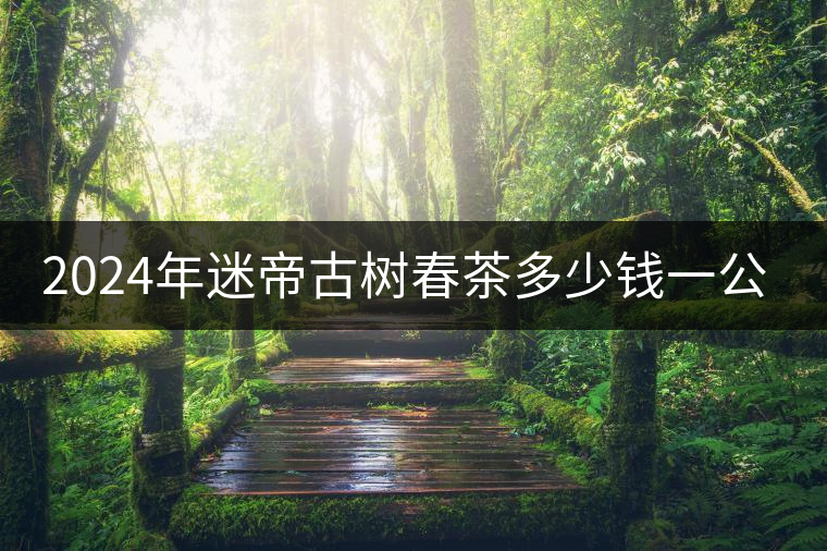 2024年迷帝古樹(shù)春茶多少錢(qián)一公斤？