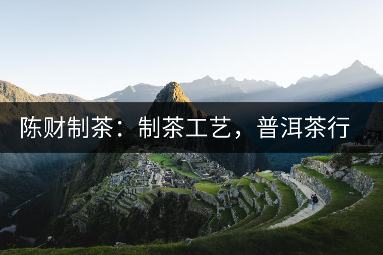 陳財(cái)制茶：制茶工藝，普洱茶行業(yè)的生死線