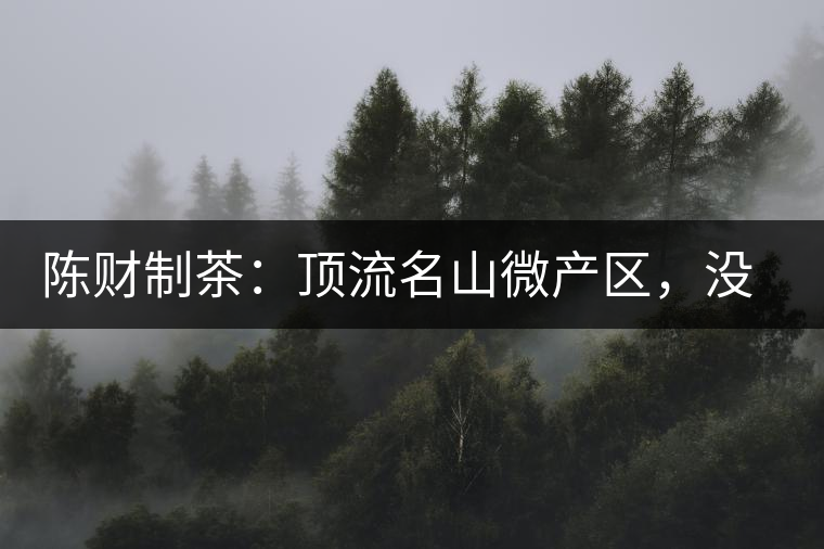 陳財(cái)制茶：頂流名山微產(chǎn)區(qū)，沒(méi)有意義的意義