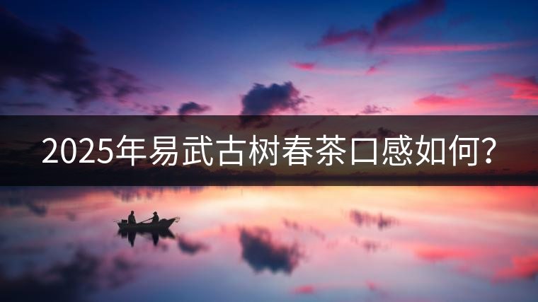 2025年易武古樹春茶口感如何？