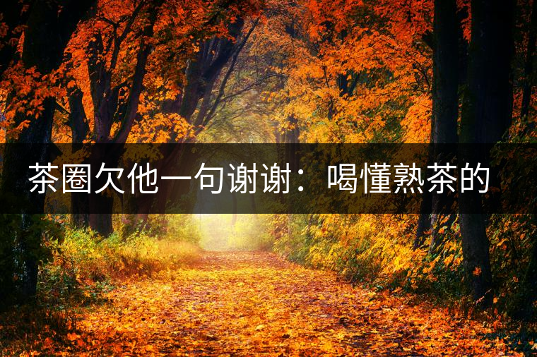 茶圈欠他一句謝謝：喝懂熟茶的人，都該記住陳佩仁這個名字