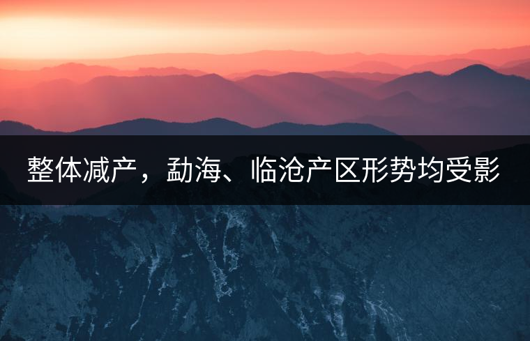 整體減產(chǎn)，勐海、臨滄產(chǎn)區(qū)形勢均受影響