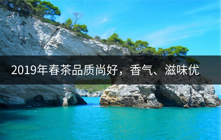 2019年春茶品質(zhì)尚好，香氣、滋味優(yōu)于去年