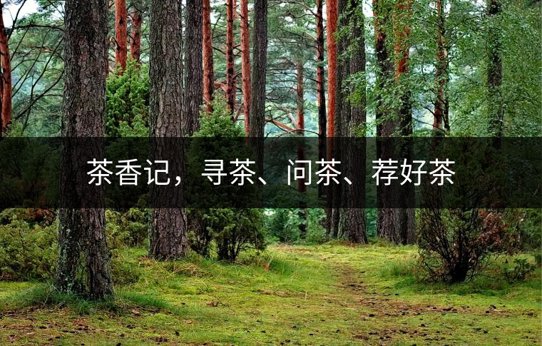 茶香記，尋茶、問(wèn)茶、薦好茶