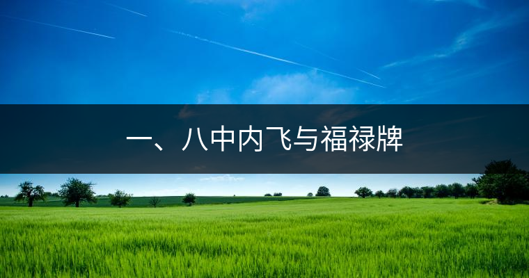 一、八中內(nèi)飛與福祿牌