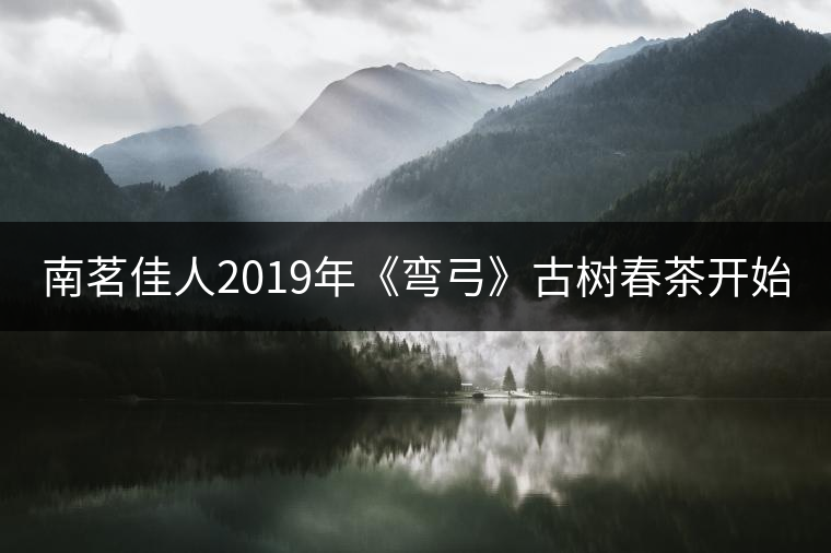 南茗佳人2019年《彎弓》古樹(shù)春茶開(kāi)始預(yù)售啦！