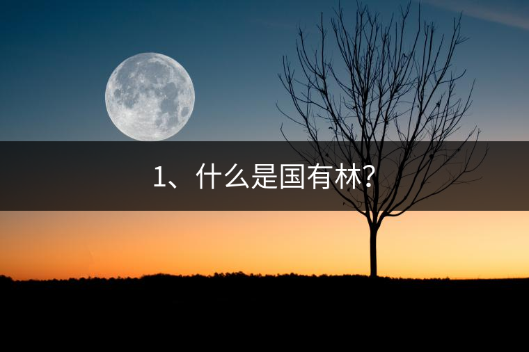 1、什么是國有林？