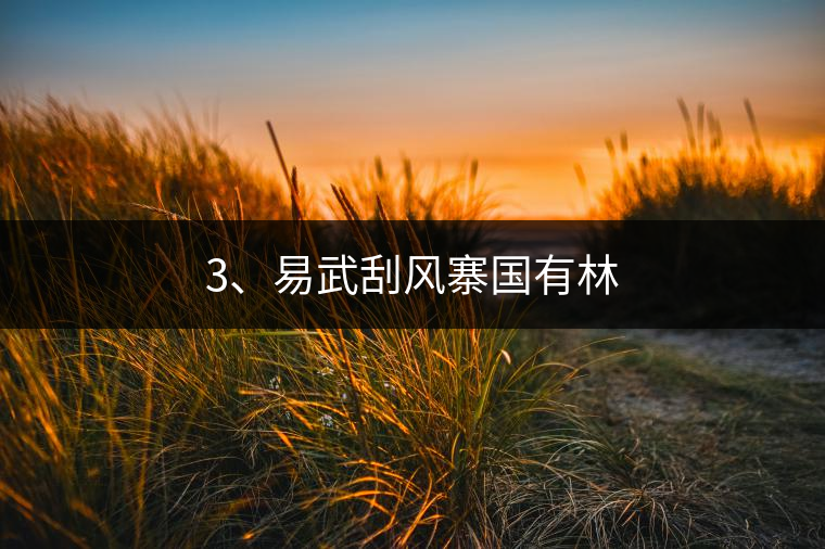 3、易武刮風(fēng)寨國有林