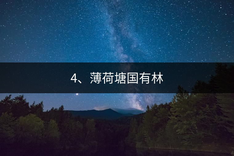 4、薄荷塘國有林