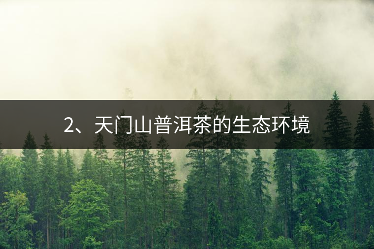 2、天門山普洱茶的生態(tài)環(huán)境