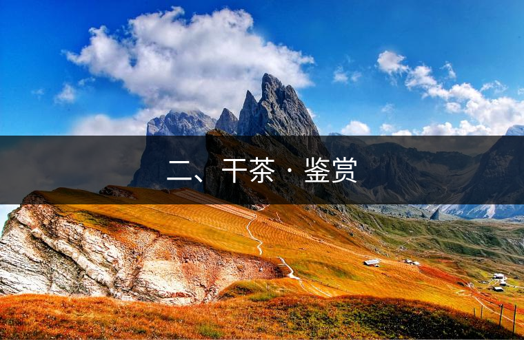 二、干茶 · 鑒賞
