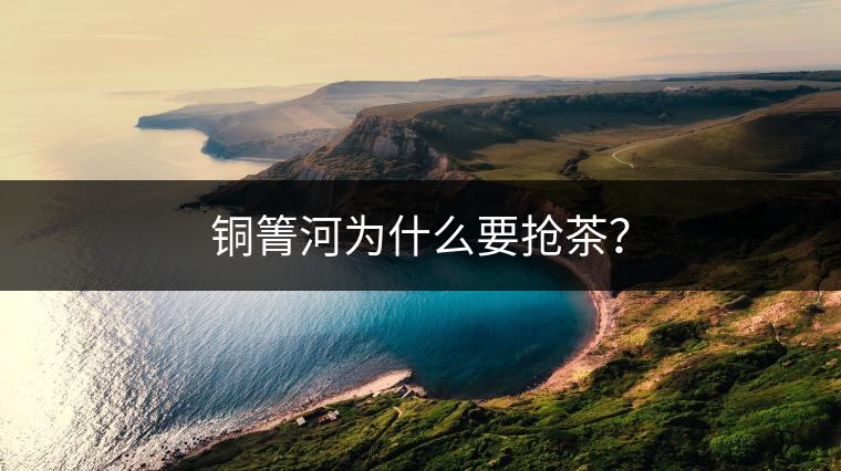 銅箐河為什么要搶茶？