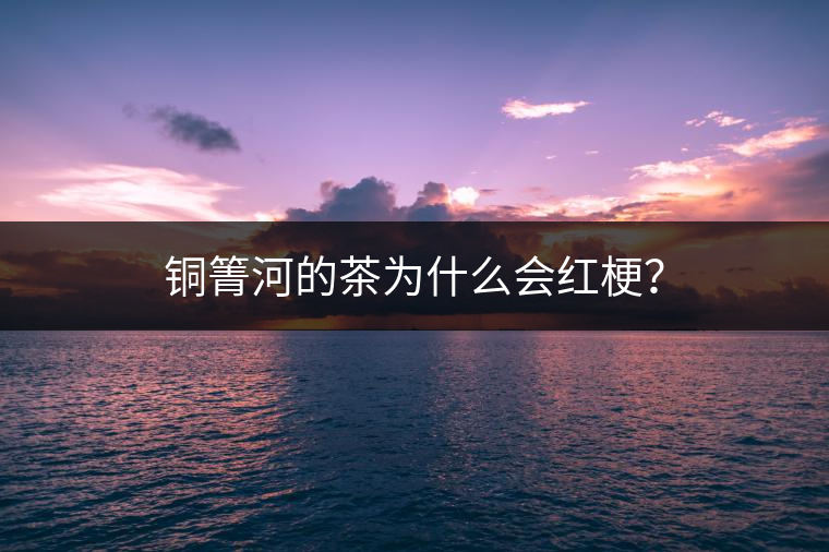 銅箐河的茶為什么會(huì)紅梗？