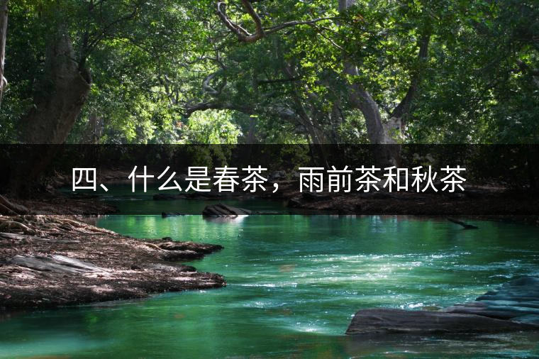 四、什么是春茶，雨前茶和秋茶