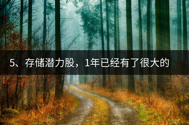 5、存儲(chǔ)潛力股，1年已經(jīng)有了很大的變化
