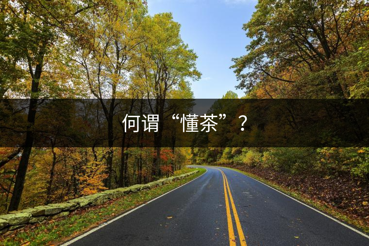 何謂“懂茶”？
