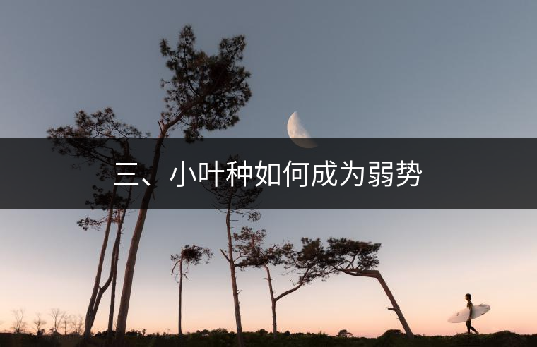 三、小葉種如何成為弱勢(shì)