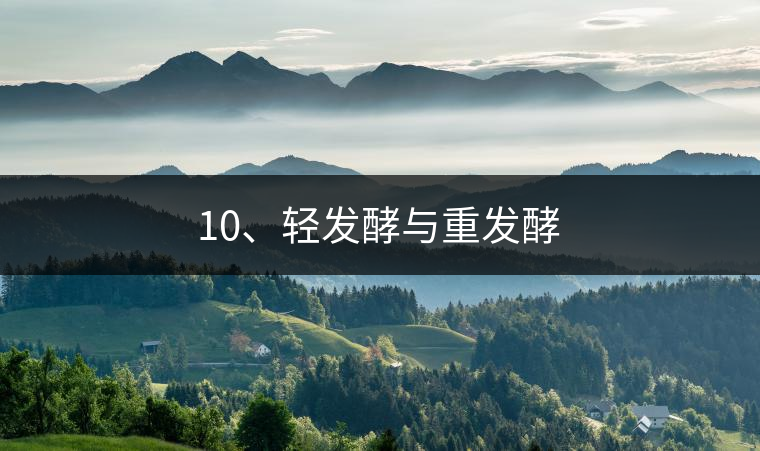 10、輕發(fā)酵與重發(fā)酵