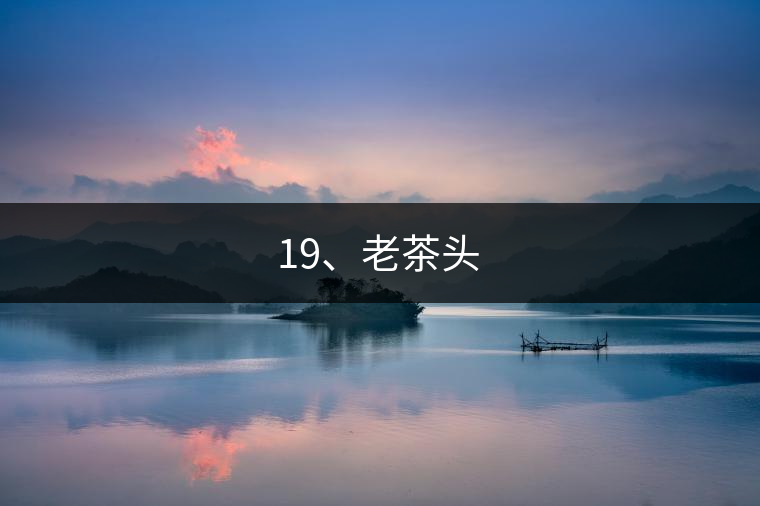 19、老茶頭