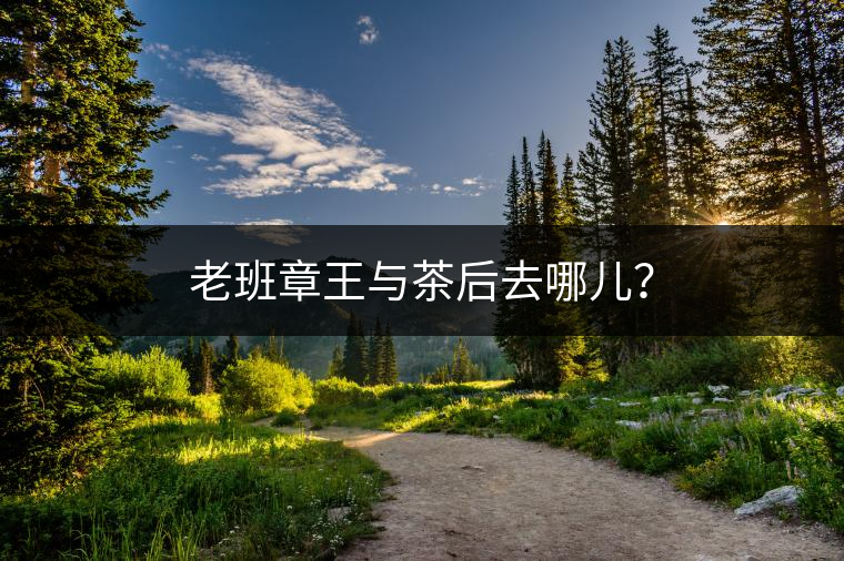 老班章王與茶后去哪兒？