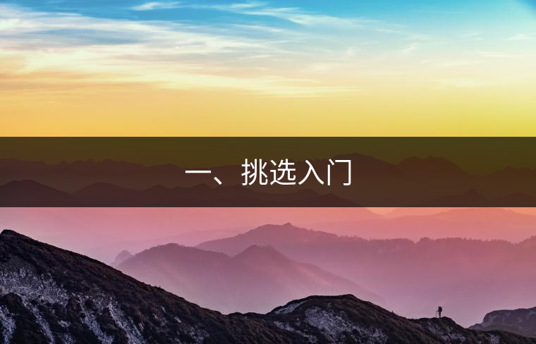 一、挑選入門