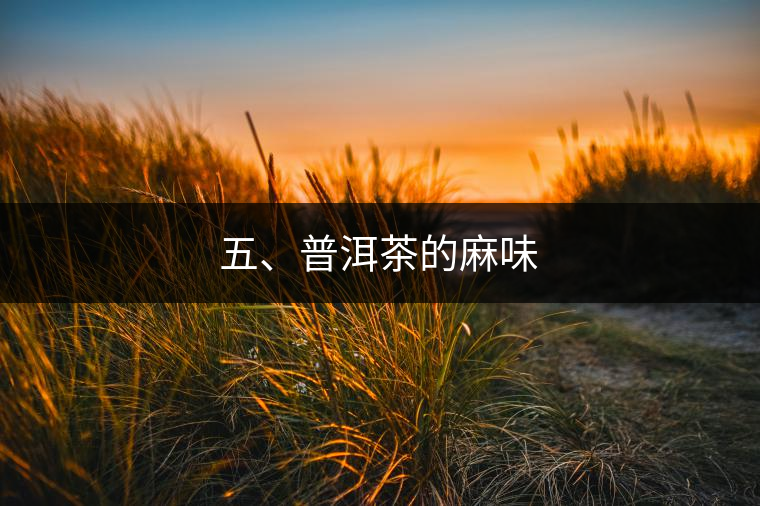 五、普洱茶的麻味