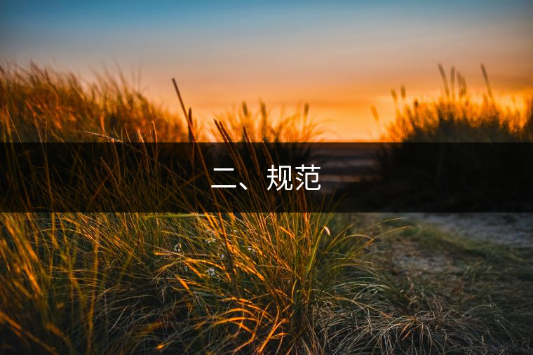 二、規(guī)范