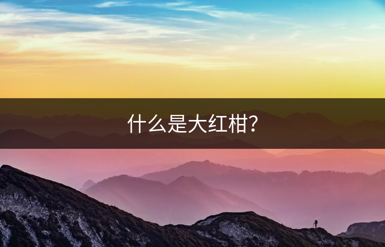 什么是大紅柑？