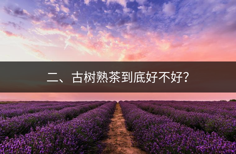 二、古樹熟茶到底好不好？
