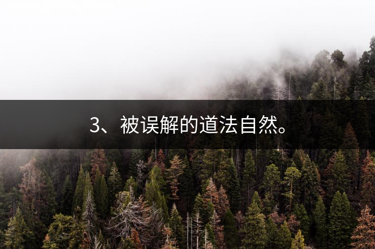 3、被誤解的道法自然。