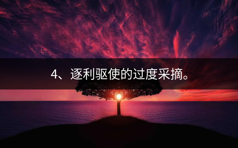 4、逐利驅(qū)使的過(guò)度采摘。