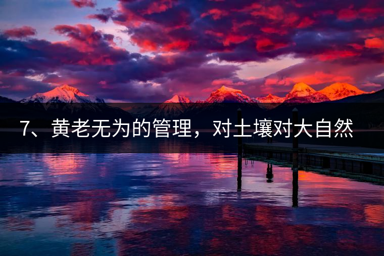 7、黃老無(wú)為的管理，對(duì)土壤對(duì)大自然的過(guò)渡依賴，對(duì)茶樹(shù)根疏忽。