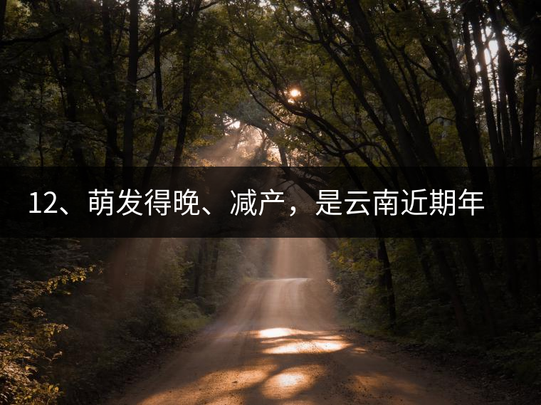 12、萌發(fā)得晚、減產(chǎn)，是云南近期年氣候變化在茶樹(shù)上的延遲反映。