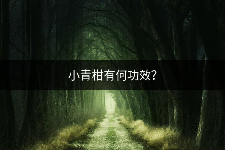小青柑有何功效？