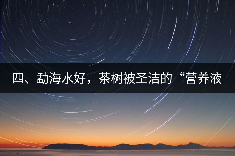 四、勐海水好，茶樹被圣潔的“營養(yǎng)液”所滋養(yǎng)
