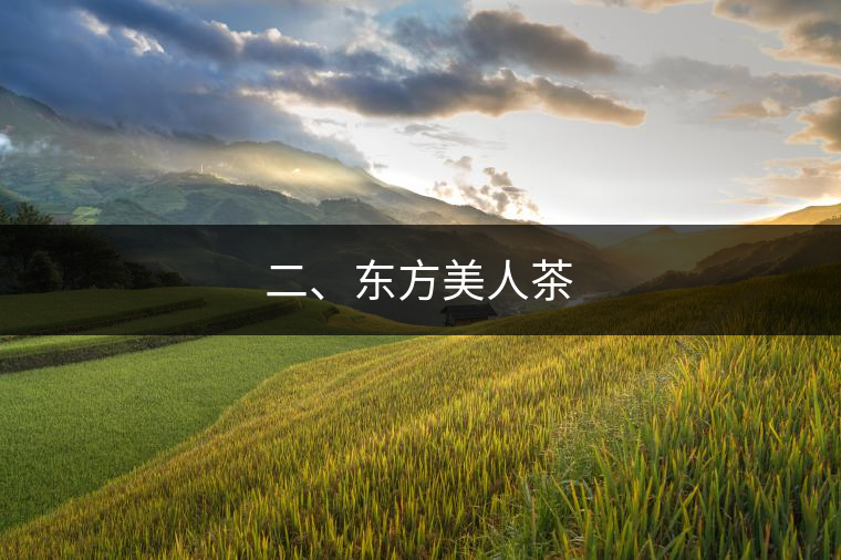 二、東方美人茶