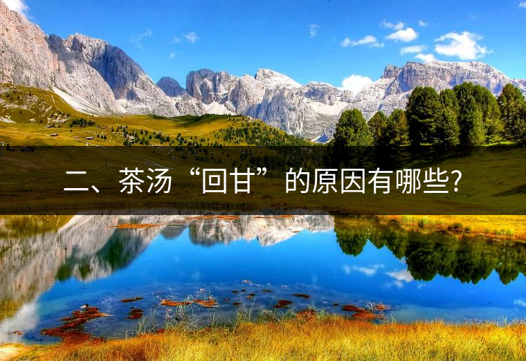 二、茶湯“回甘”的原因有哪些?