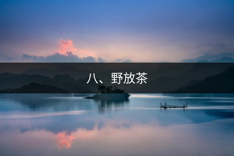 八、野放茶