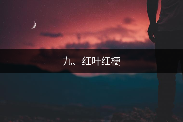 九、紅葉紅梗