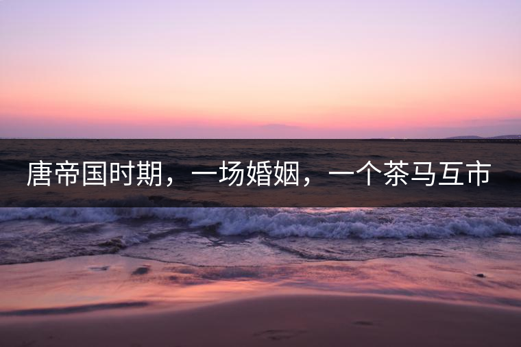 唐帝國時期，一場婚姻，一個茶馬互市，讓這里結(jié)束了漢藏對峙。宋代南茶北，西北茶馬司設立，因茶而改變的生活日益凸顯。元代八思巴與忽必烈在這一區(qū)域結(jié)盟，為蒙藏兩大民族交往鋪好通衢大道，明代俺答汗與達賴在山海之間追思各自先人，青海人宗喀巴創(chuàng)建的黃教通過蒙、藏兩大領袖的推廣，締造了影響至今的格局。大清經(jīng)過康、雍、乾三代勵精圖治，滿、藏、蒙各自龐大的疆域第一次完整地統(tǒng)轄在中央帝國的版圖下。