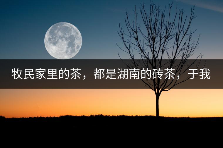 牧民家里的茶，都是湖南的磚茶，于我們而言不見得有多好，它們粗糙得看可見茶梗和樹枝，但于他們來說，卻是每日的生活必需品。端到桌上的茶碗，也是缺了口鋦過青花瓷碗，聞得見修補后的手溫，喝下加過鹽巴的磚茶，一身暖意，融化了深藏在發(fā)底的冰屑，溫暖著身心。