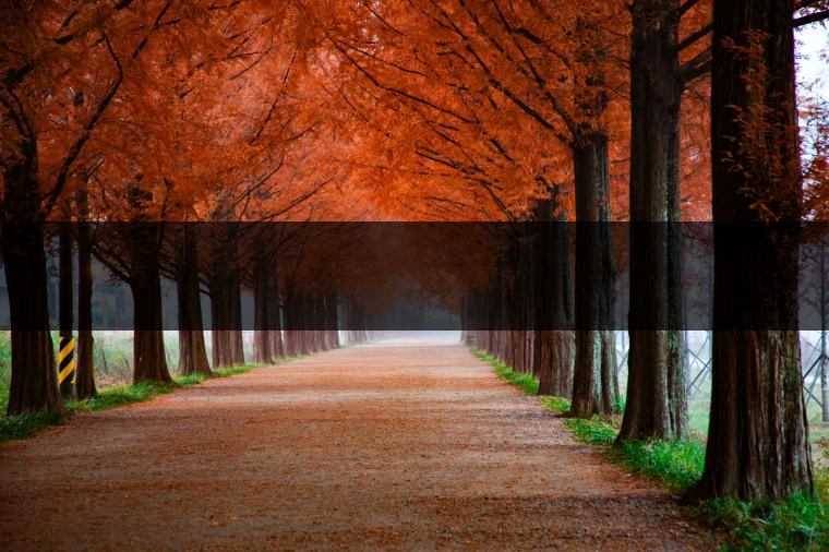 這樣的茶葉邊疆文化，也許是明代大學者解縉最樂意見到的。他曾說，中原最好的東西就是茶，而番人最好的就是馬。他贊同明廷茶馬互市的國策：茶之于夷人，如同中國之酒醴，因為茶馬貿(mào)易，許多夷人也開始學習中國的知識，對中國也有了向慕之心，那么茶的作用就很顯然，茶有著“夷夏之交，義利之辨，寅賓尚忠信而篤敬，河州固唐虞三代之邦也?！?茶不僅僅是一種飲品，還有其他。茶作為媒介，體現(xiàn)了觀念的變化。如今，隨著茶的傳播，各族人民有了更深入往來，通過貿(mào)易、文化、旅游等等。
陳渠珍從西藏抵達湟源區(qū)域時，也為這里的古風所震驚：“余皆漢番雜處。風俗婦女尚餞足，裙下蓮步不及三寸，服飾既古，文化尤卑，鄰居為私塾，當見一生久讀不能成誦，塾師罰之跪，以草圈罩頭上，頻加籌石，令其跪誦。余見駭然?！?
?
（摘自《海峽茶道》，2013年5期）