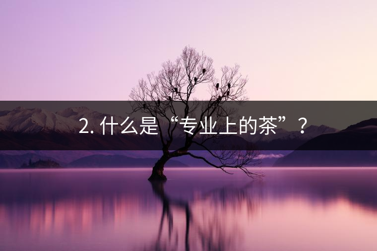 ? 2. 什么是“專業(yè)上的茶”？