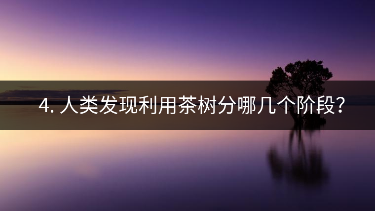 ? 4. 人類發(fā)現(xiàn)利用茶樹分哪幾個階段？