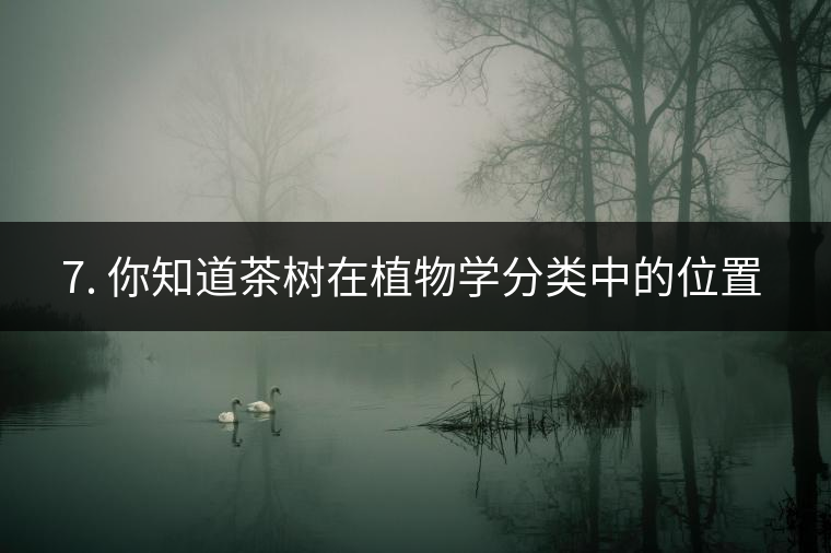 ??7. 你知道茶樹在植物學(xué)分類中的位置嗎？