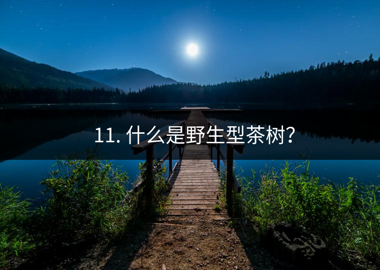 ? 11. 什么是野生型茶樹？
