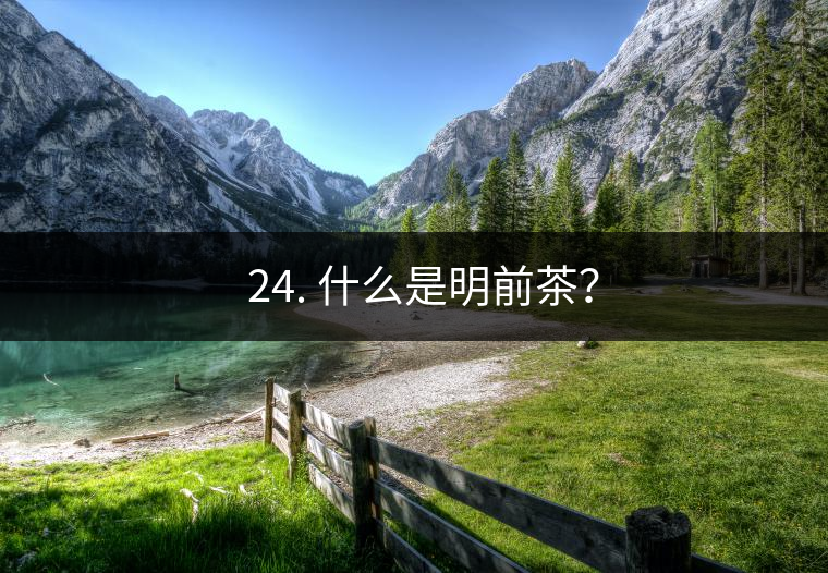 ? 24. 什么是明前茶？
