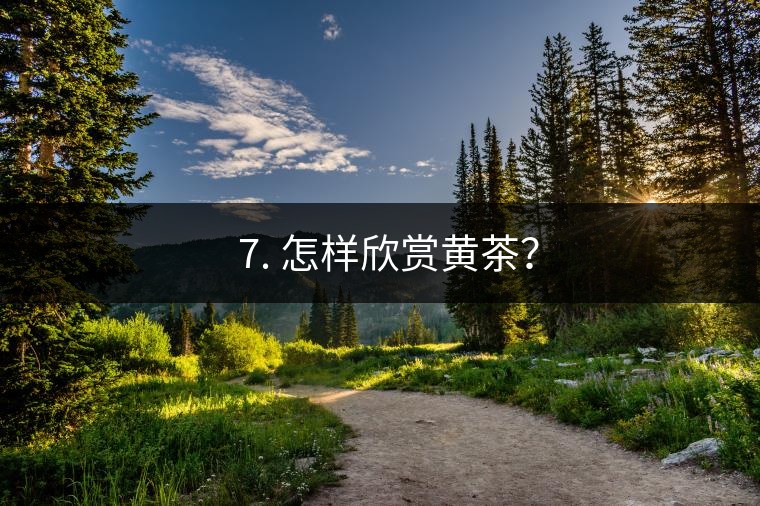 ? 7. 怎樣欣賞黃茶？
